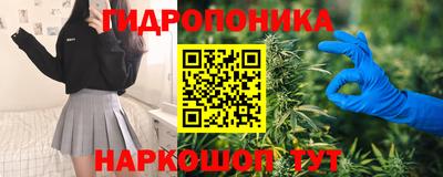 ешки Гагарин